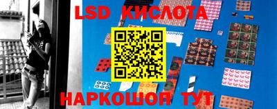 мяу мяу мука Краснознаменск