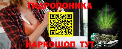 мяу мяу мука Краснознаменск